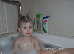 SAM_1106