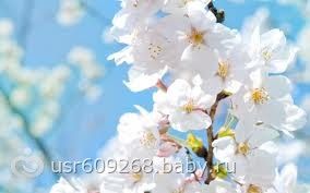 так хочется весны((