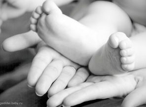 IMG_8558-2-2