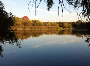 Гуляем в парке. Серебряный бор