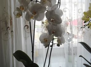 беллллл