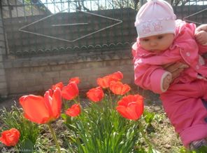 SAM_0715