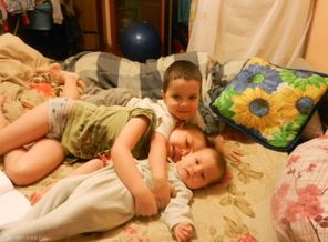 той-терьеры 133