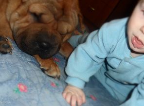 SAM_2059