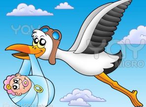 flying-stork-with-baby-25b694-600x481