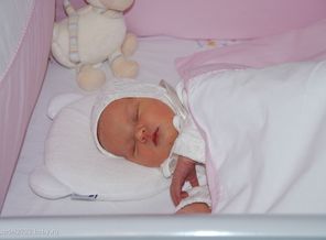 IMG_2013822_16757