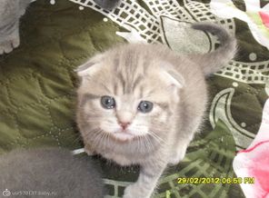 SAM_1483