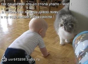 99314358_116423762