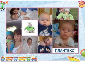 Любимый Бегемотик