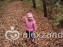 Осенняя пора