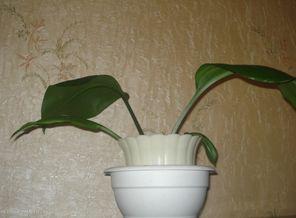 DSC03310