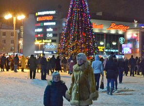 Новый 2013 год