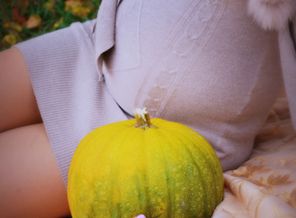 DSC_0282