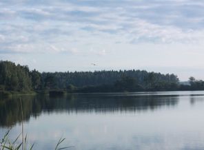 пейзаж в егорьевске