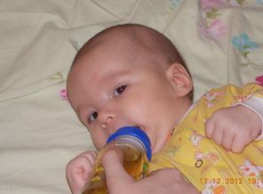 DSCN0038