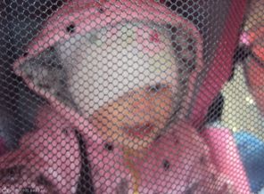 DSC04535