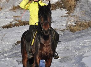 Секрет