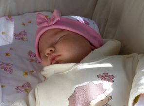Сладкий сон на весеннем солнышке