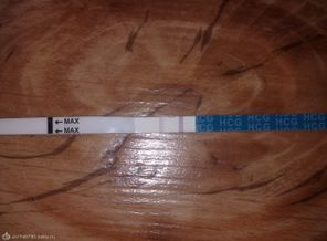 13012012186