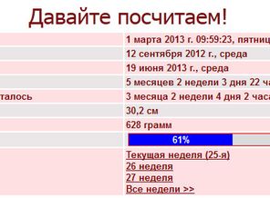 24 недели
