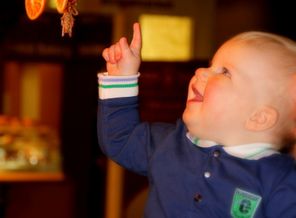 IMG_8021