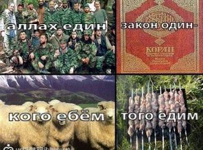 не для разжигания расовой розни,а как весёлый дэм