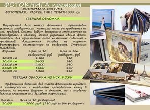 Без имени-4
