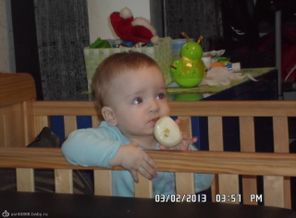 SAM_1042