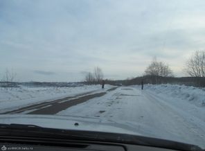 IMG_0233