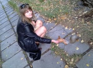 осень в Новосибирске