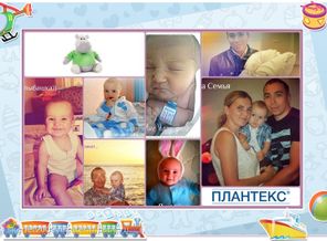 Мой первый год