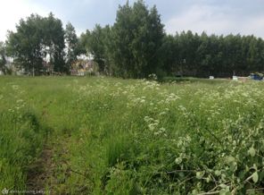 участок