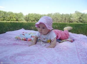 ползу в лесу