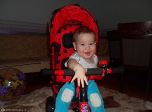 SAM_0278