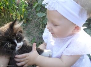 любимый котёнок