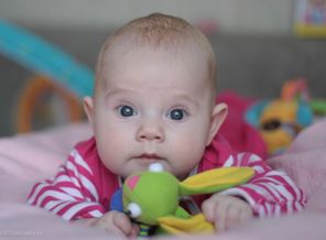 IMG_6500