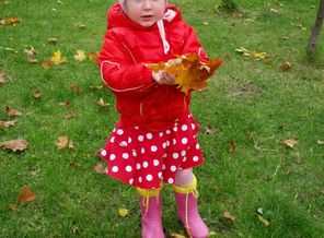 IMG_20120928_145011