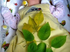 Спящая красавица.