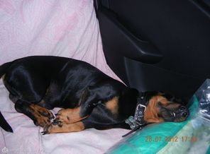 IMG_2013319_1129161383599688