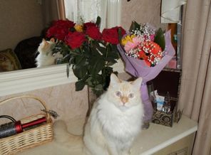 Семен