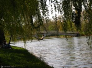 Улюблене місце відпочинку)