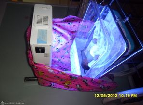 SAM_0798