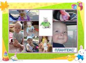 мишутка