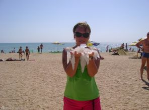 Черное море. август 2012