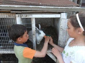 SAM_0471