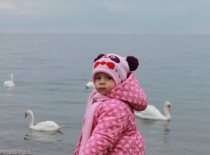 моя радость