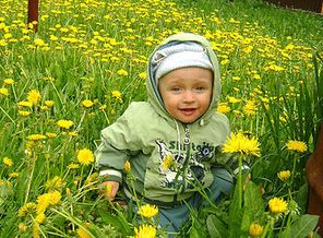 Ромашка в ромашках))))))