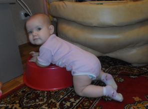SAM_1172