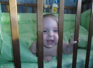 SAM_0837