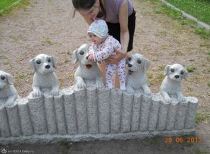Знакомство с собачками))